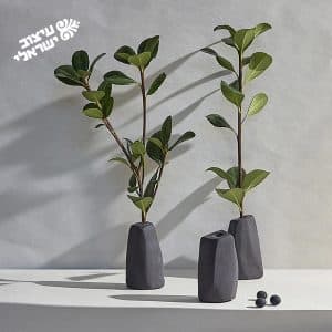 מארז אגרטלים אבני דרך בעבודת יד – בזלת