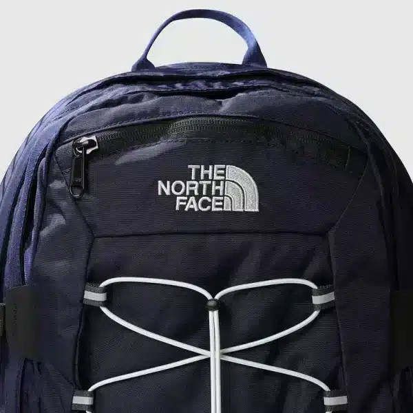 117556
