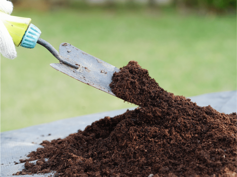 מהי אקולוגיה וכיצד היא משפיעה על חיי היום-יום שלנו?